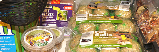 Bird Feed and feedres