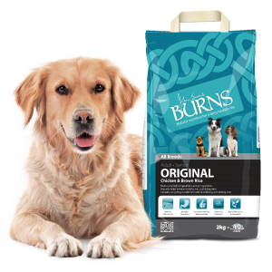 Dog food for sale Soth Hams