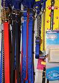 dog leads