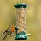 Wild Bird Seed